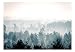 murando Fotomurales Bosque 350x256 cm XXL Papel pintado tejido no tejido Decoración...