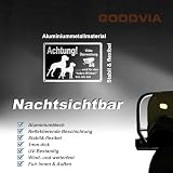 Goodvia Freilaufender Hund Videoüberwacht 30x20cm Metall Aluminium, Hunde Schilder Lustig und für den Toten Winkel Bin Ich Da