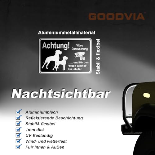Goodvia Freilaufender Hund Videoüberwacht 30x20cm Metall Aluminium, Hunde Schilder Lustig und für den Toten Winkel Bin Ich Da