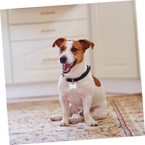 Toyvian 2 Sätze Haustiermarke Wille Hundemarke Anhänger Selber Machen Hundetags Hund Namensschild Hundemarke Individuell Stichworte Code Silber Rostfreier Zufällige Farbe 6 Stück * 2
