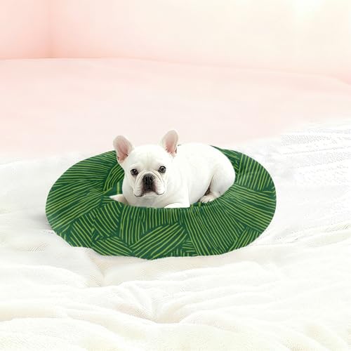 Lit pour chien et chaton à rayures vertes S couchage premium - 3