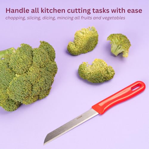 Image of Rena 10 Piece 90 mm Serrated Kitchen Knife Set Sharp Stainless Steel Knife Set for Kitchen Use, for Fruits, Vegetables, Bread. Rust Resistant, Dishwasher Safe, Durable & Long Lasting