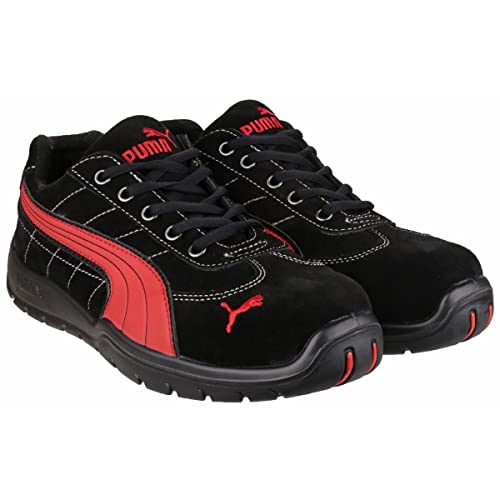 Puma ----
