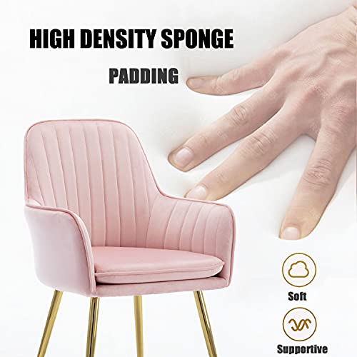 Altrobene Velvet Accent Chair, Home Office Desk Chair No Wheels, Modern Dinging Chair, Living Room Bedroom Arm Chair, Girls Vanity Chair, Golden Finished, Pink #TOP3