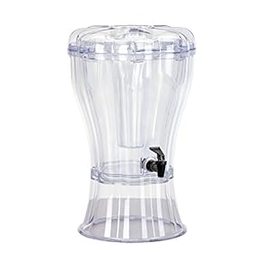 Buddeez Double-Wall Insulated Beverage Dispenser with Removable Ice-Cone