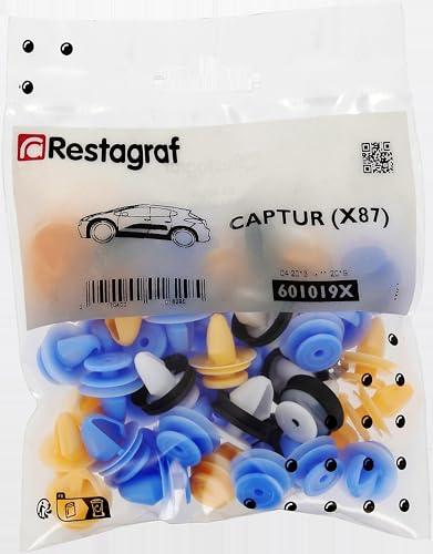 Kit Complet Fixations Portes Citroën C3 A51 (2009-2017) – 42 Pièces Pour Réparation Ou Remplacement
