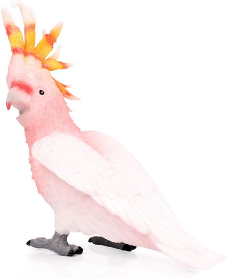Birds Peacock Pelicans Kookaburra Crane Flamingo Moluccan Cockatoo Model Animal Figure Suitable for Animal Zoo Dinosaur World Scene Plastic Model Decor Collector Toy Gift