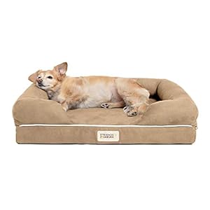 Friends Forever Small Dog Bed, Orthopedic Dog Sofa Memory Foam Mattress, Calming Dog Couch Bed, Wall Rim Pillow, Water Resistant Liner, Washable Cover, Non-Slip Bottom, Chester, Small Khaki Beige