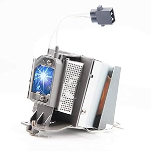 Huaute NP35LP Projektorlampe mit Gehäuse für NEC NEC NP-V302H NP-V332W NP-V332X V302H V332W V332X Projektoren