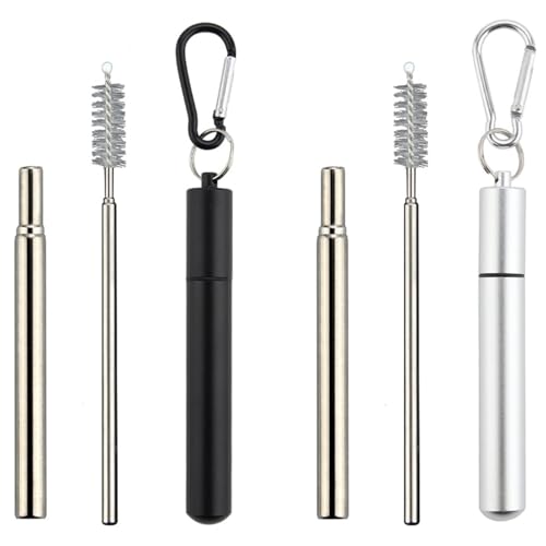 KIMHOME Set da 2 cannucce telescopiche in acciaio inossidabile argento, cannucce regolabili in acciaio 18/10 fino a 23 cm con spazzole per la pulizia e portachiavi, ideali per casa, viaggi e attività