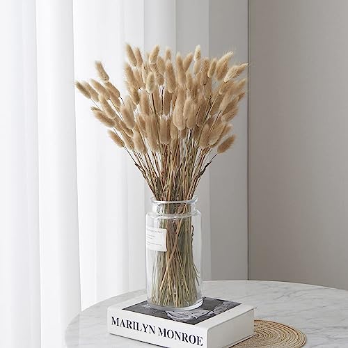 FANNAS Erba della Pampas Fiori Secchi Naturali (60 Pezzi)