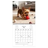 Kalender 2026, lustig, Tierkunst, 12 Monatsplaner, Hunde-Thema, Monatsplaner – für Küche, Wohnung, Klassenzimmer, Tagungsraum, Urlaub, Weihnachten