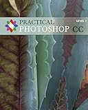 Practical Photoshop CC Level 1: Practical Photoshop CC Level 1