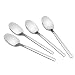 Fiaze 12-Piece Stainless Steel Dessert Spoons
