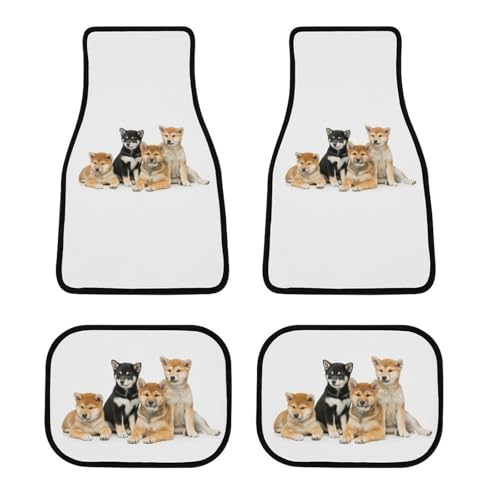 J[}bg Č    tA}bg  ԗptA}bg 4_Zbg y/ʎ O2E2 h~ ~ ېOK tȒP J[pi lGʗp