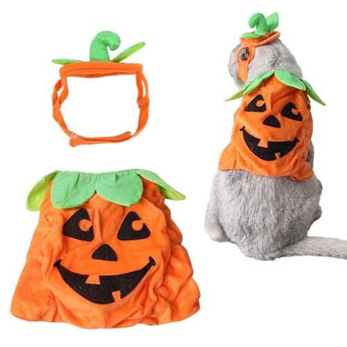 Disfraz de Calabaza para Gatos y Perros Pequeños Halloween