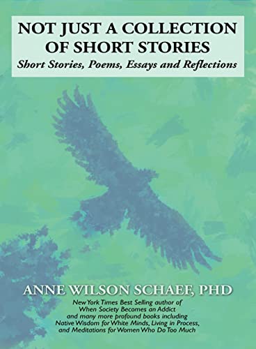 Not Just a Collection of Short Stories (English Edition)