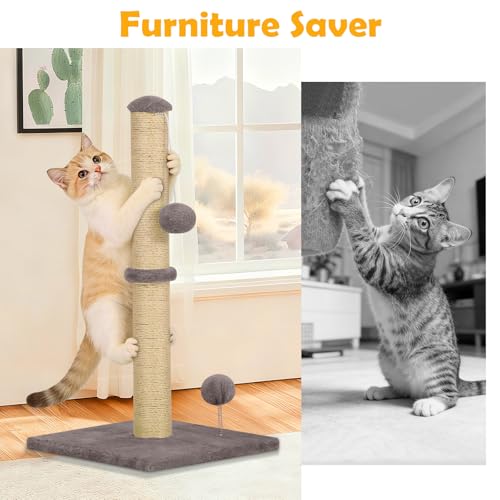 Rascador para gatos de 22 pulgadas con cuerda de sisal natural y pelota colgante miniatura 5
