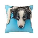 Chiot drôle Border Collie sur Fond Bleu, Housse de Coussin Taie d'oreiller décorative en Polyester Doux 45x45 cm