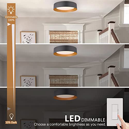 Image of Bargeni 16.5-Inch Flush Mount Ceiling Light,Matte Black with Gold Interior