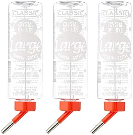 Gift Base Bottiglia Sportiva 600ml Con Scritta 'W Is Per Anguria' | Borraccia In Metallo Bianca