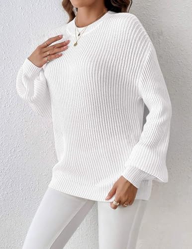 Image of Zeagoo Women 2026 Fall Lightweight Oversized Sweater Crew Neck Long Sleeve Color Block Pullover Rib Knit Blouse Tops XS-2XL