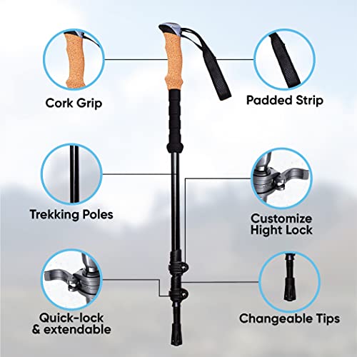 Nordic Walking Sticks Adjustable Locks Expandable To 54" Lightweight Cork Grip And Carry Bag For Seniors, Men, Women With 10 Replacement Tips #TOP6