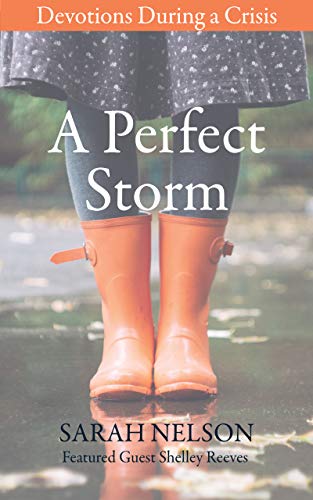 A Perfect Storm Devotions During A Crisis Kindle Edition By Nelson Sarah Reeves Shelley Graves Susan Religion Spirituality Kindle Ebooks Amazon Com