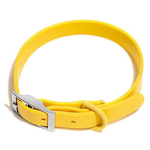 Wild One Dog Collar, The Original Easy-Clean, All Weather Flex-Poly Strap with Metal, Durable, Dirt and Odor Resistant, Size S, Butter Yellow