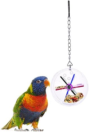 parrot foraging wheel