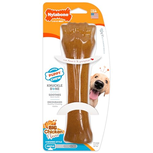 Nylabone - Puppy Bone