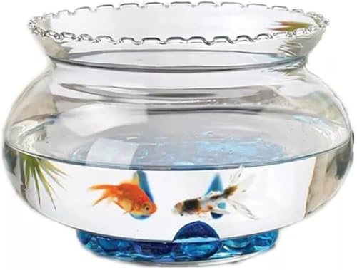 KOKUMON 透明大丸型金魚鉢:アクアリウム兼用!ガラス容器で観葉植物水培・フラワーベース・花瓶に|おしゃれインテリアとしてテーブルに最適