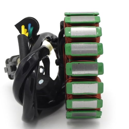 Estator de encendido S31120RCA000 compatible con DS 250 2008-2016 6