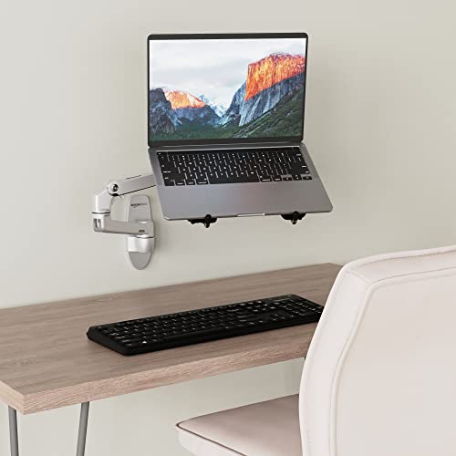Amazon Basics Wall Mount Computer Monitor and TV Stand Lift Engine