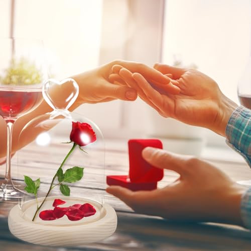Fleur séchée en verre sous dôme cadeau idéal pour anniversaire et fête - 5
