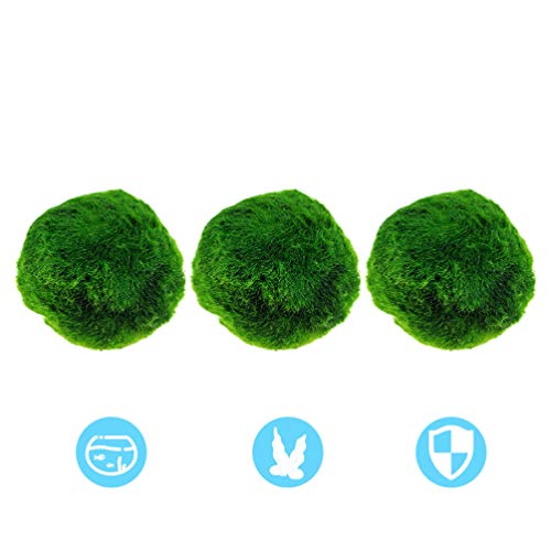 ULTECHNOVO 3 Pcs Marimo Musgo Bolas Algas Verdes Planta AquÃ¡tica AquÃ¡rio Peixes Tanque de CamarÃ£o