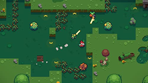 Blazing Beaks Nintendo Switch