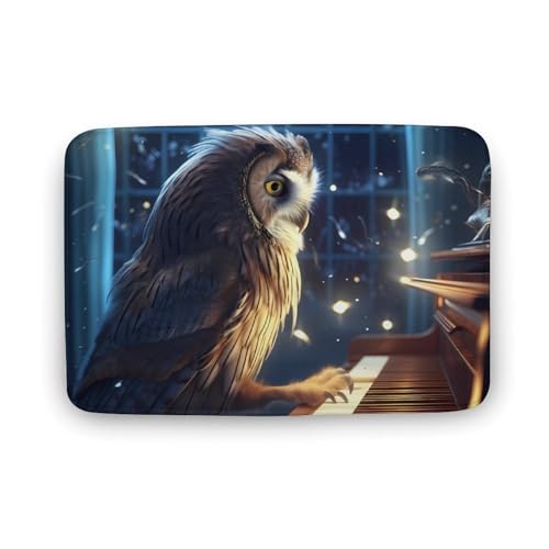 Owl Playing The Piano Coral Velvet Rugs Non-Slip Bathroom Rugs Soft Kitchen Rug Floor Carpet for Home Decor 15.7