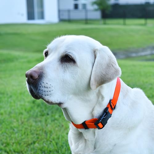 Image of Dogline Biothane Waterproof Dog Collar with Quick Release Buckle Strong Coated Nylon Webbing with Odor- Proof for Easy Care Easy to Clean Fits Small Medium or Large Dogs, Orange 1 inch W 15-23 inch L