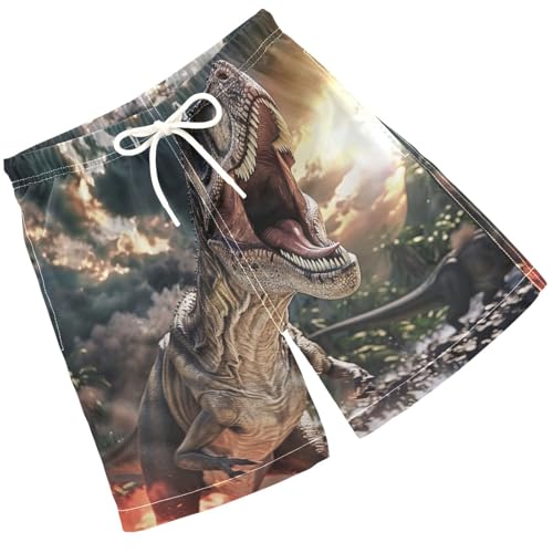 Pigsaly Boys' Swim Board Shorts Jurassic Dinosaurs 3D Fire Boy's Swim Trunks Kids Swimwear M