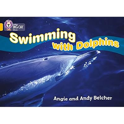 Swimming with Dolphins
