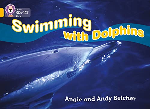 Swimming with Dolphins (By: Andy Belcher)