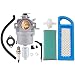 HIPA 794572 Carburetor with Air Filter Tune-up Kit for Briggs & Stratton 791858 791888 792358 793224 697190 697141 698445