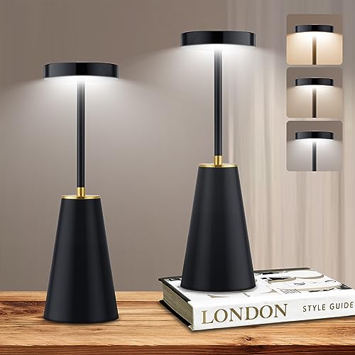 WUBTU LED Table Lamp for Nightstand,Cordless 3 Colors Dimmable USB