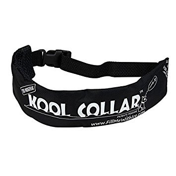 Kool Collar - Small in Black (Includes one Kool tube)