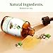 SVA Macadamia Seed Oil Organic - 4 Fl Oz – 100% Natural Cold Pressed Organic Macadamia Oil - for Face, Skin Care, Hair Care, Scalp Massage & Body Massage – Carrier Oil with Dropper