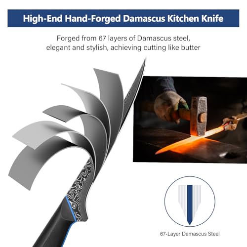 FINTISO Damascus Filleting Knife 7 Inch, Boning Knife for Meat Made of 67-Layer Japanese High Carbon Steel, Fish Knives with Full Tang G10 Handle, Gift Box Included - Zeus Series - Image 4