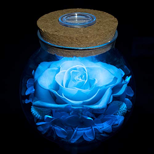 roliys Preserved Real Roses with Colorful Mood Light Wishing Bottle,Eternal Rose，Never Withered Flowers, Christmas Anniversary Valentine's Mother's Day,a Gifts for Women 4.3inch 1pcs（Light Blue）