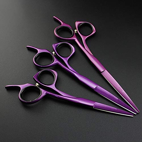 Ciseaux de coiffure professionnels en acier 440 couleur violet 5 pouces