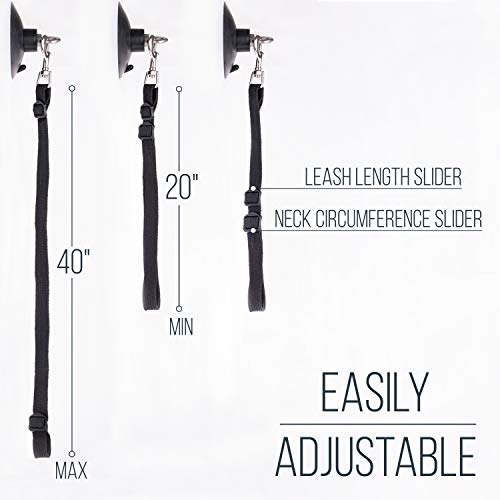 Dog Bathing Tether With Suction Cup For Pet Shower And Grooming #TOP4